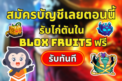 รับไก่ตันใน Blox Fruits ฟรี